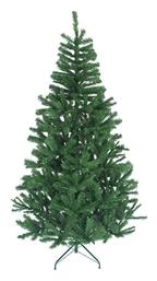 Χριστουγεννιάτικο Δέντρο Colorado - XMASfest από το EasyU